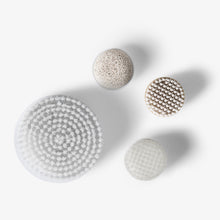 Load image into Gallery viewer, Replacement Brushes | Spin for Perfect Skin.